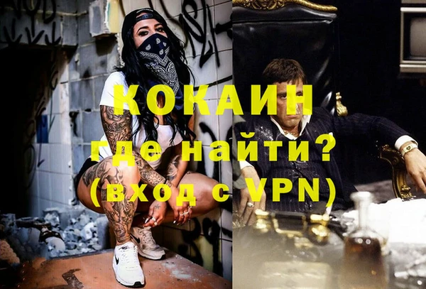 дживик Абаза