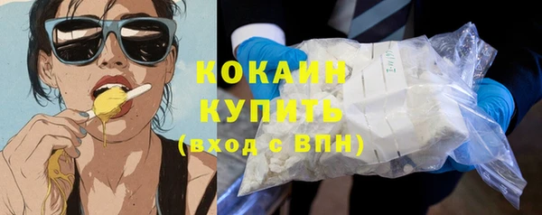 дживик Абаза
