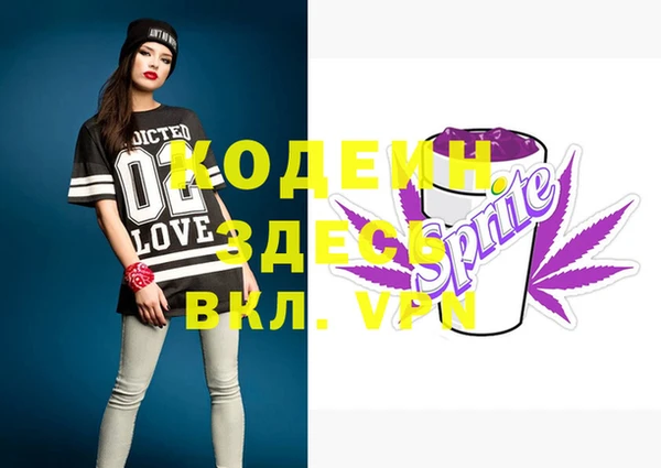 индика Алексин